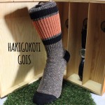 製造直送の靴下屋さん HAKIGOKOTI GOIS