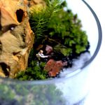 Flower bloom garden&丸山造園