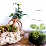 Flower bloom garden&丸山造園